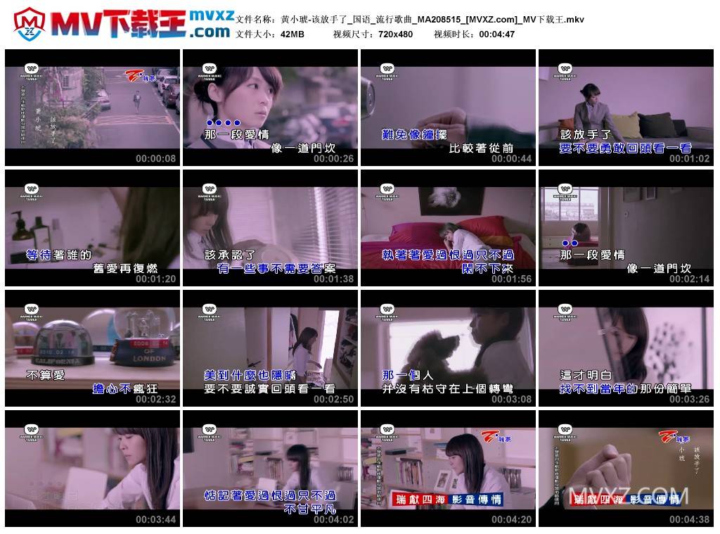 黄小琥-该放手了_国语_流行歌曲_MA208515